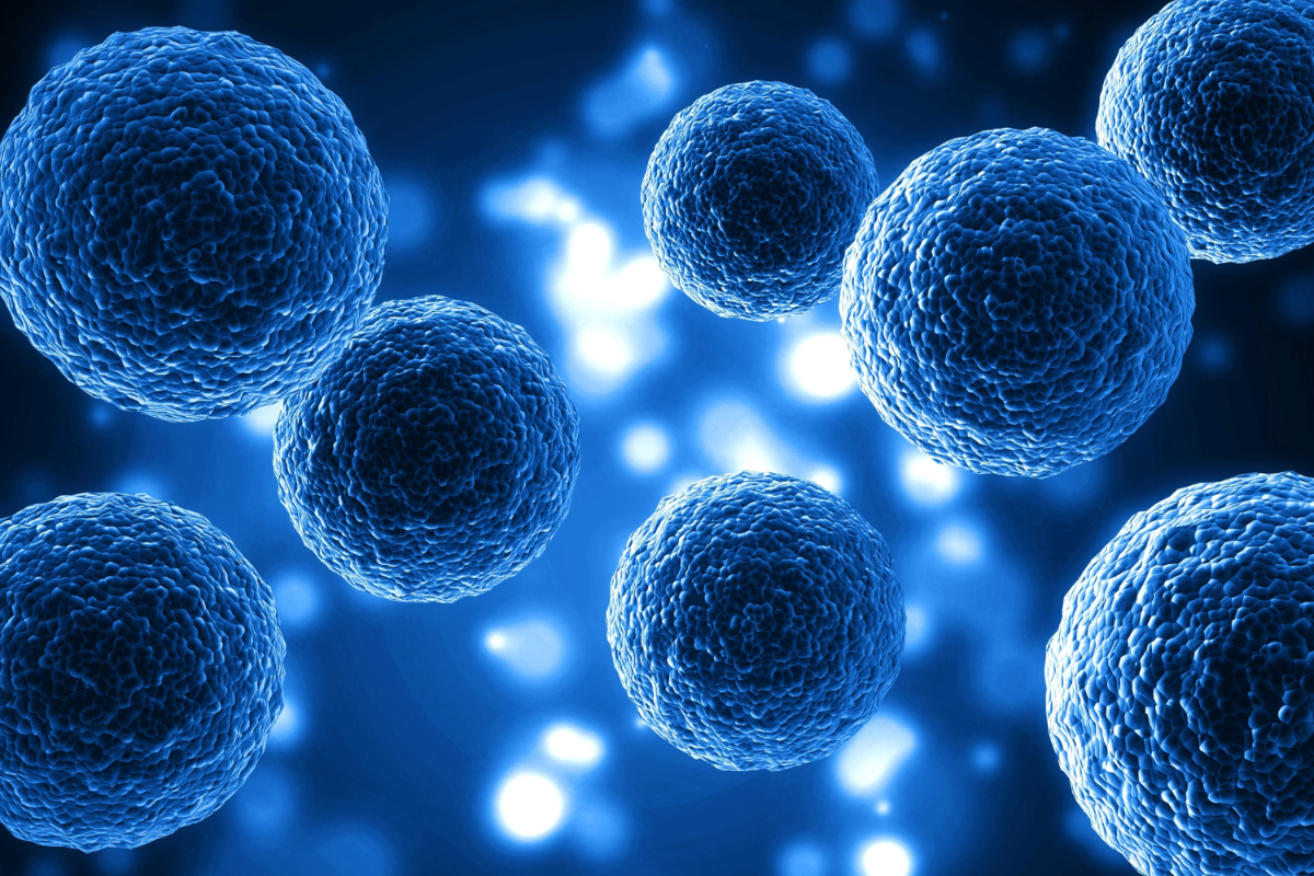 Illustration of apigenin cells.