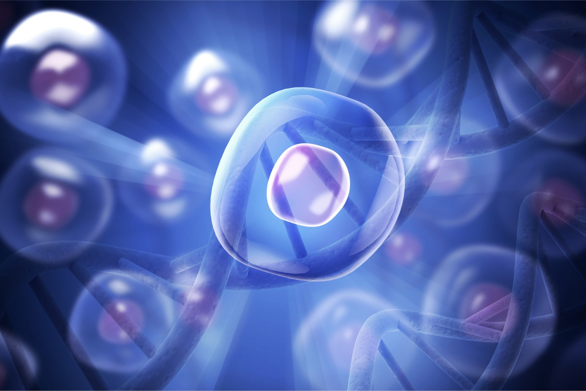 Visualization of healthy cells.