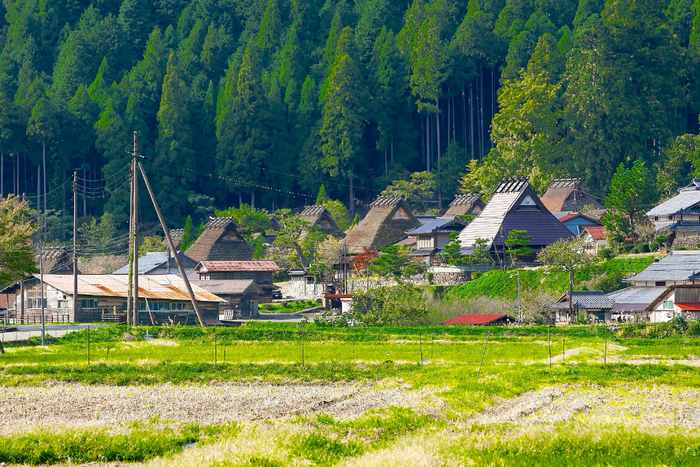 A Japanese countryside.