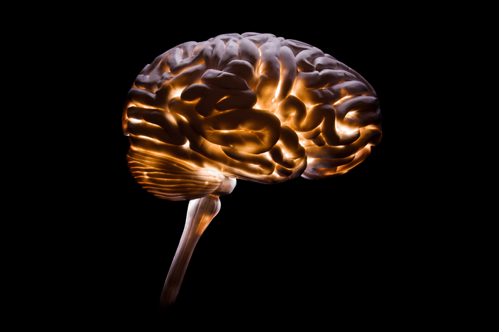 Image of glowing brain on a dark background.