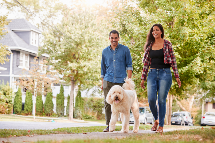 A couple walking with their dog.