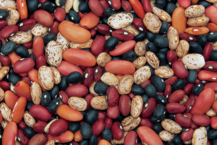 Beans found in Blue Zones.