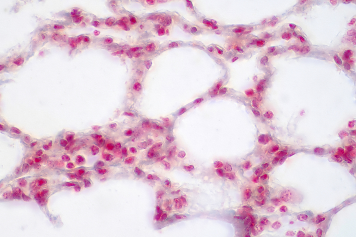 Visualization of mitochondria making energy.