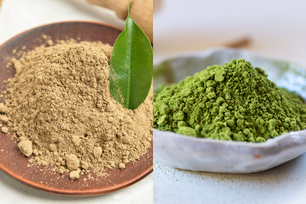 Hojicha vs Matcha powder.