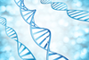 Blue DNA helix illustration representing melatonin DNA repair research, cellular health, and oxidative stress support.