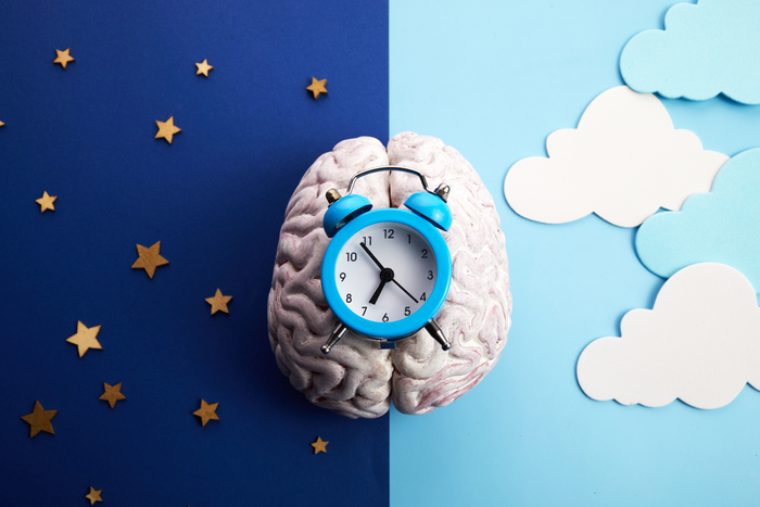 A brain with an alarm clock on top, set against a background split between night with stars and day with clouds, symbolizing the sleep-wake cycle.