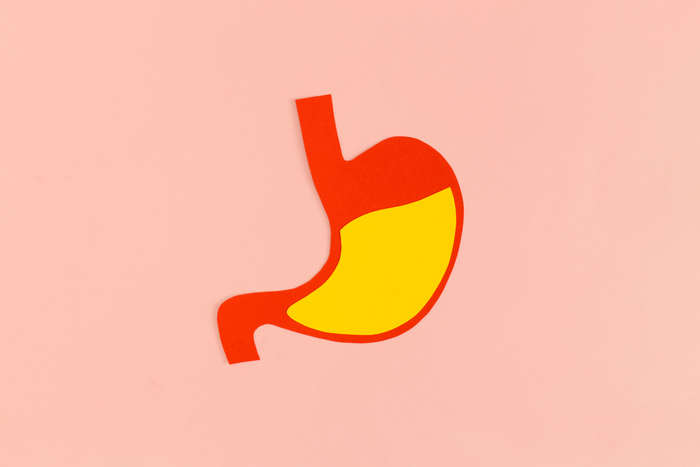 Visualization of GERD through stomach with acid.