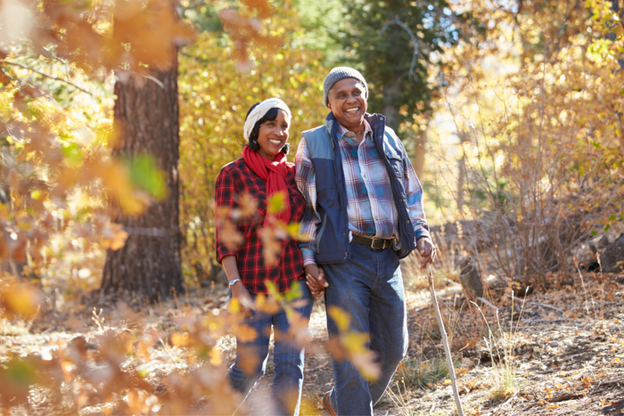 Elderly couple walking through a dense forest.