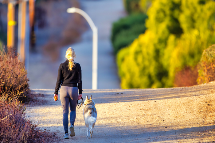 Woman and her dog walking in a park.