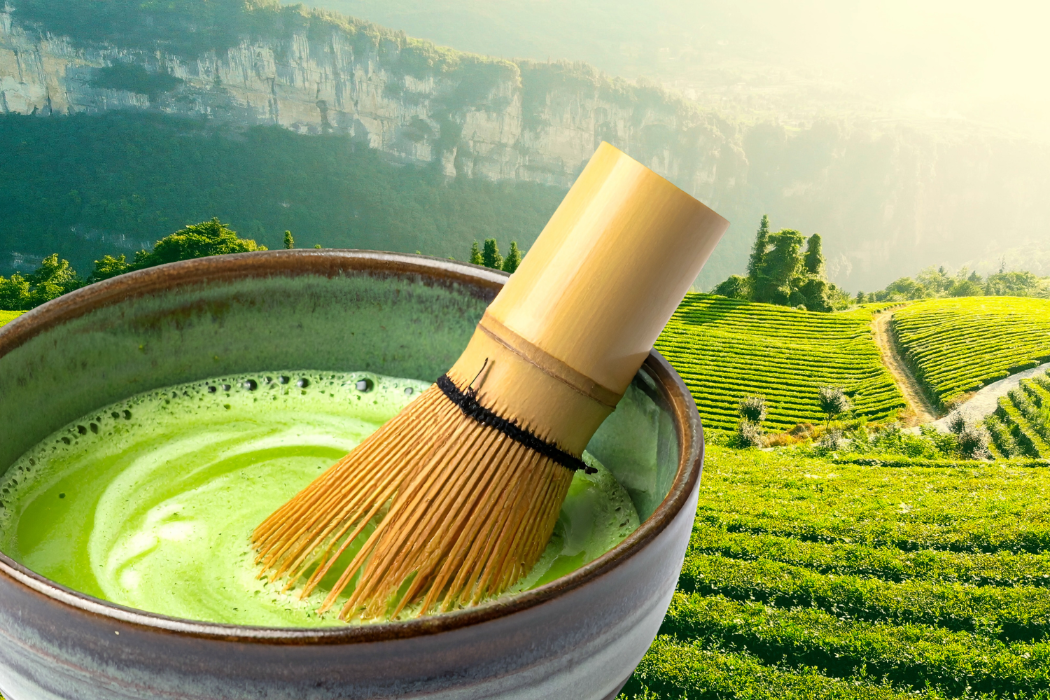 Bowl of bright Shizuoka matcha with bamboo whisk overlooking Japanese tea fields